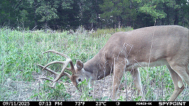 Fotografía tomada con la FORCE-4k